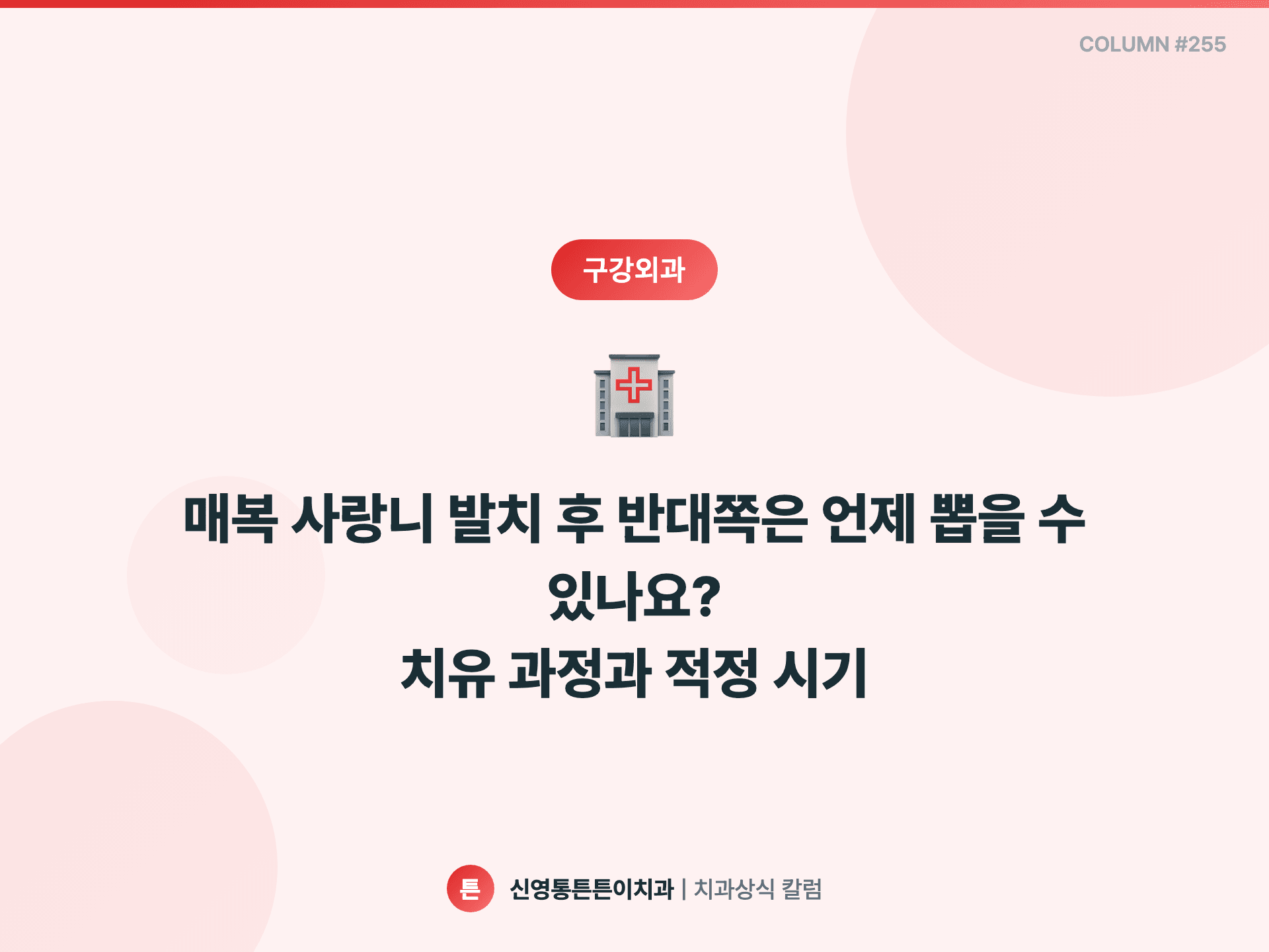매복 사랑니 발치 후 반대쪽은 언제 뽑을 수 있나요? 치유 과정과 적정 시기 - 구강외과 칼럼 썸네일
